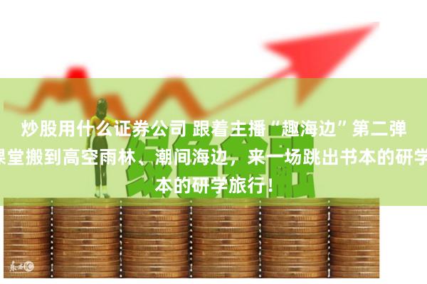 炒股用什么证券公司 跟着主播“趣海边”第二弹：把课堂搬到高空雨林、潮间海边，来一场跳出书本的研学旅行！