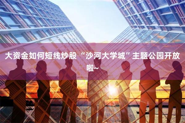 大资金如何短线炒股 “沙河大学城”主题公园开放啦~