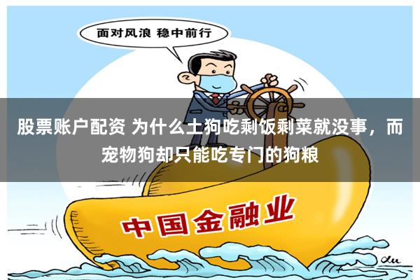 股票账户配资 为什么土狗吃剩饭剩菜就没事，而宠物狗却只能吃专门的狗粮