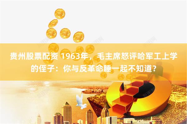 贵州股票配资 1963年，毛主席怒评哈军工上学的侄子：你与反革命睡一起不知道？