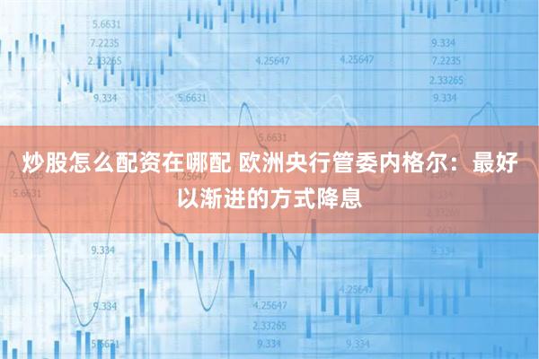炒股怎么配资在哪配 欧洲央行管委内格尔：最好以渐进的方式降息