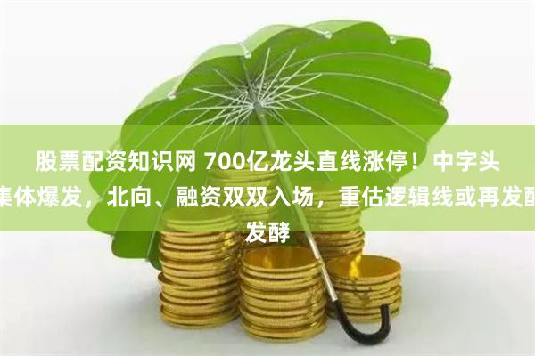 股票配资知识网 700亿龙头直线涨停！中字头集体爆发，北向、融资双双入场，重估逻辑线或再发酵