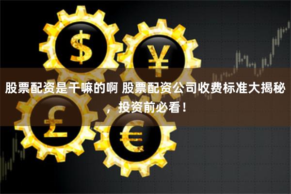 股票配资是干嘛的啊 股票配资公司收费标准大揭秘，投资前必看！